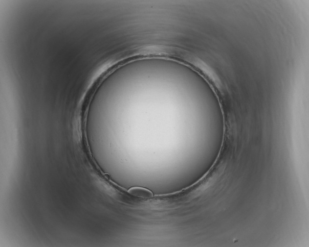 X0000111531075200907211239