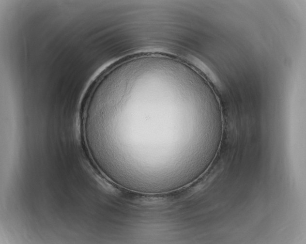 X0000111531076200907211239