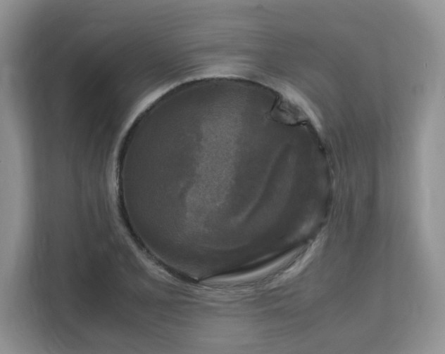 X0000111531077200907211239