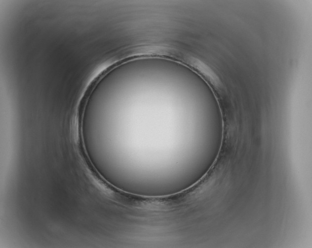 X0000111531079200907211239