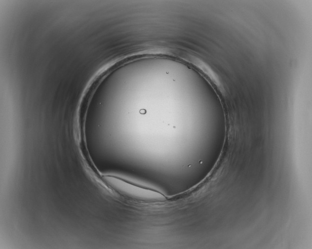 X0000111531080200907211239