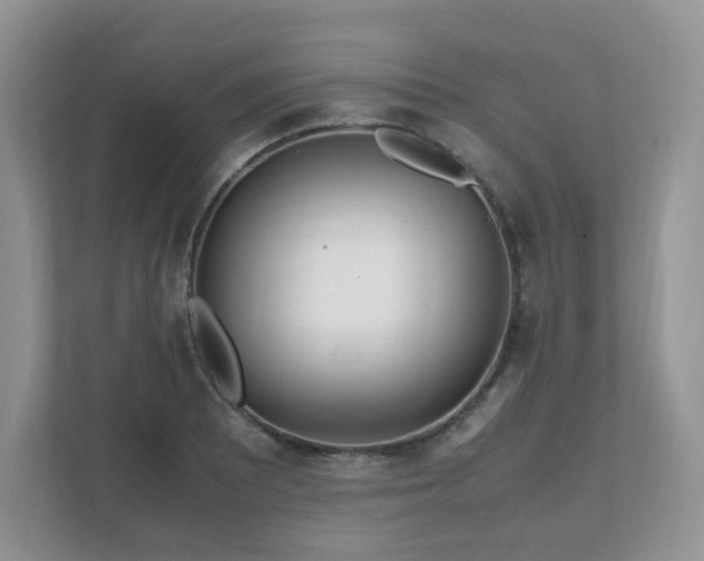 X0000111531081200907211239