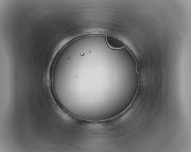 X0000111531082200907211239