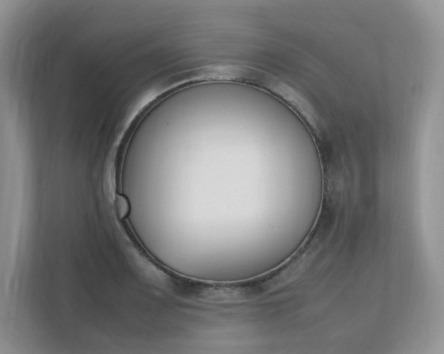 X0000111531083200907211239