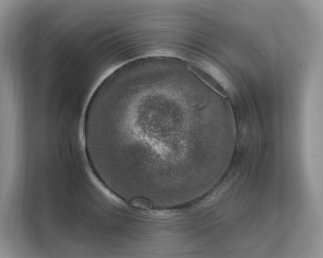 X0000111531084200907211239