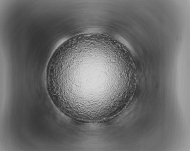 X0000111531087200907211239