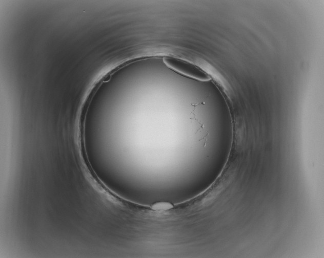 X0000111531088200907211239