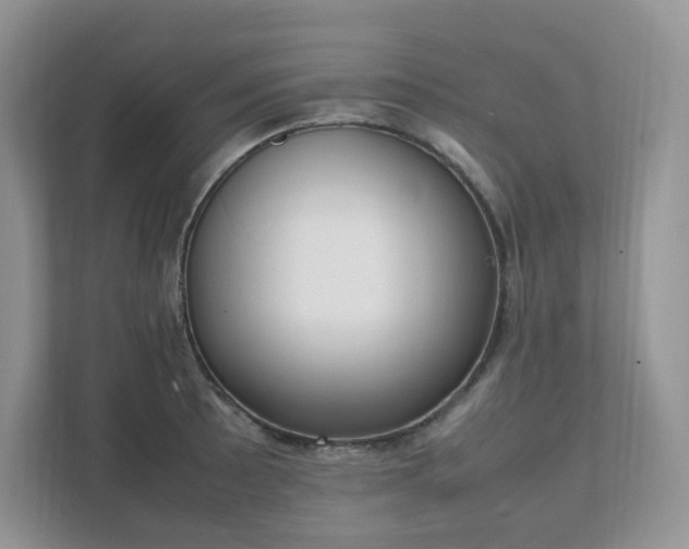 X0000111531089200907211239