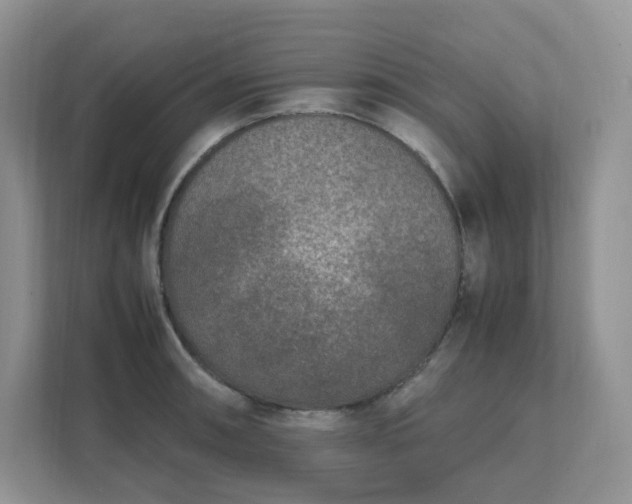 X0000111531090200907211239