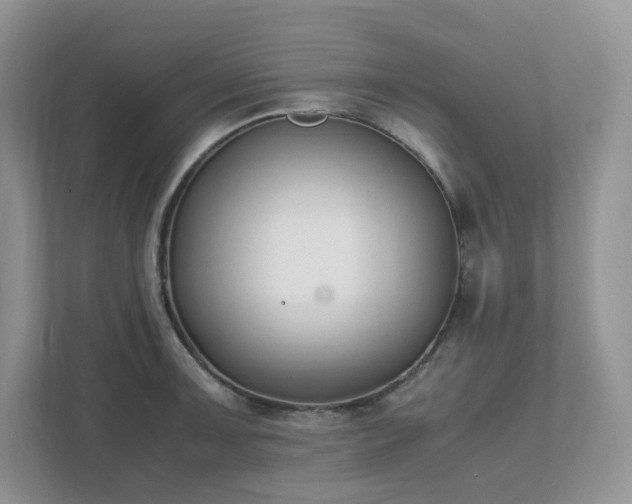 X0000111531091200907211239