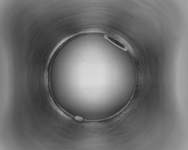 X0000111531092200907211239