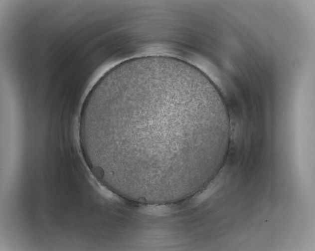 X0000111531094200907211239