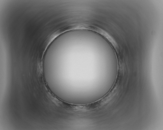 X0000111531097200907211239