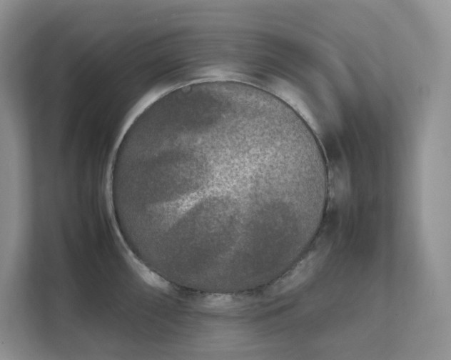 X0000111531098200907211239