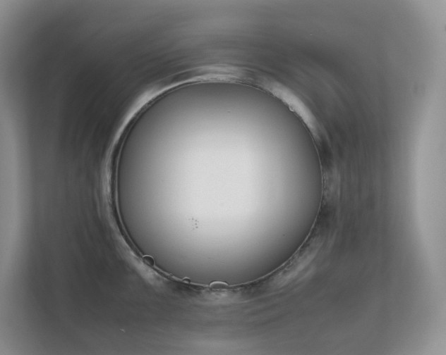 X0000111531099200907211239