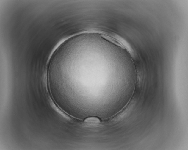 X0000111531100200907211239