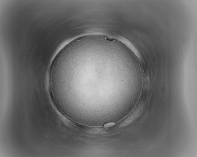 X0000111531101200907211239