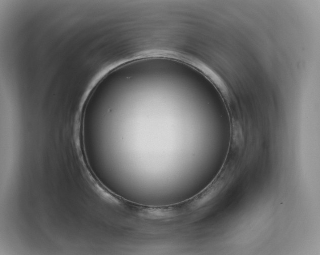 X0000111531102200907211239