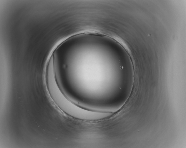 X0000111531104200907211239