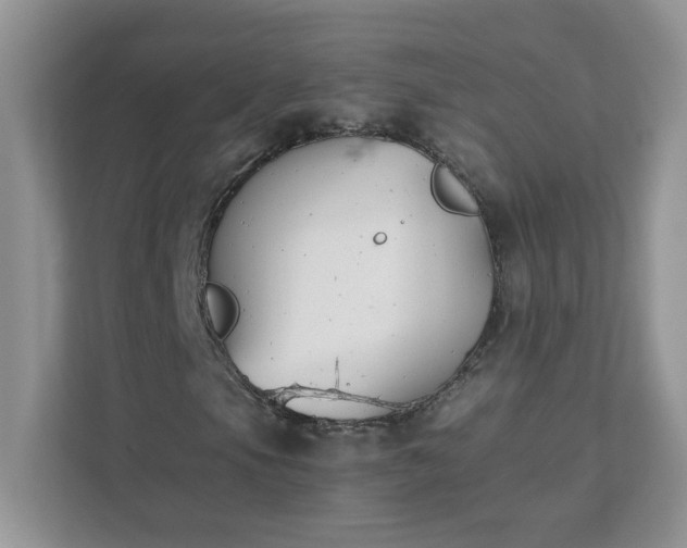 X0000111531105200907211238