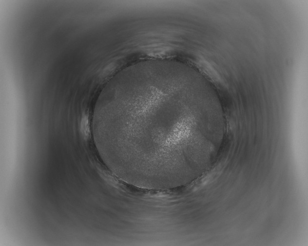 X0000111531106200907211238