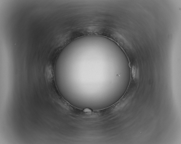 X0000111531107200907211238