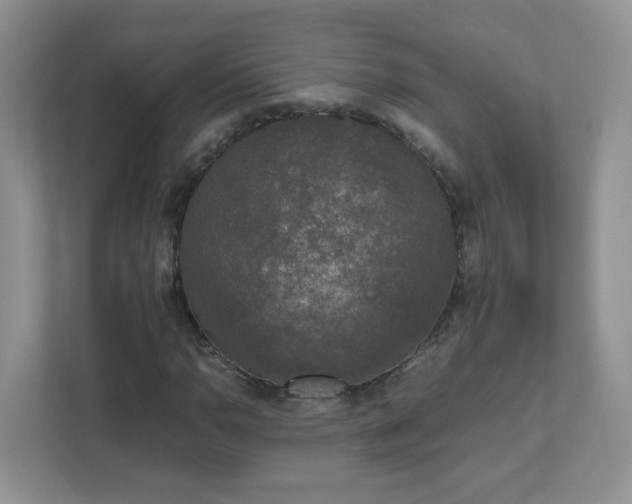 X0000111531110200907211238