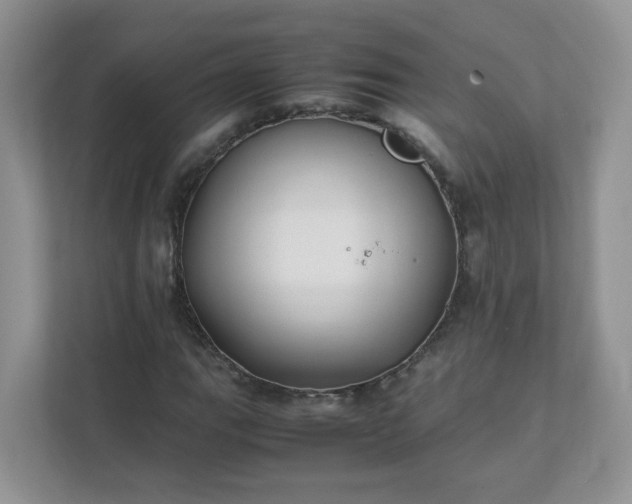 X0000111531111200907211238