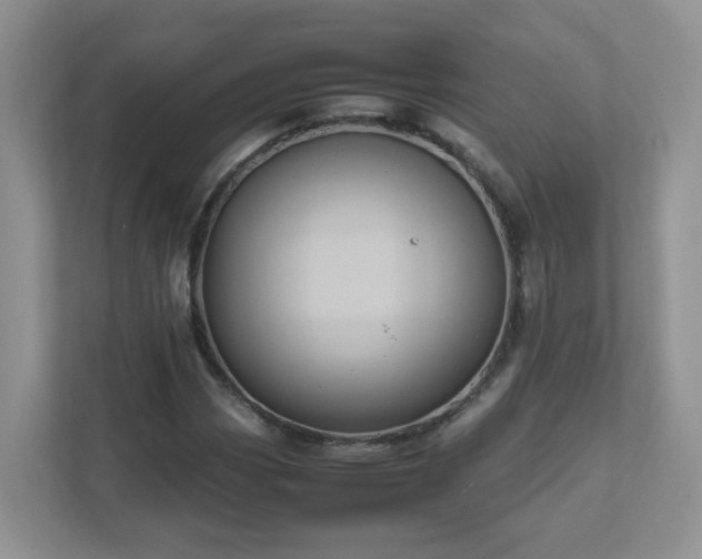 X0000111531113200907211238