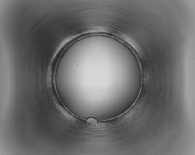 X0000111531116200907211239