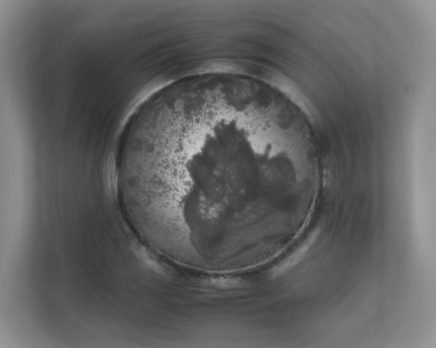 X0000111531117200907211239