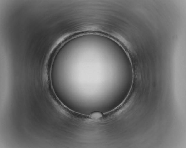 X0000111531118200907211239