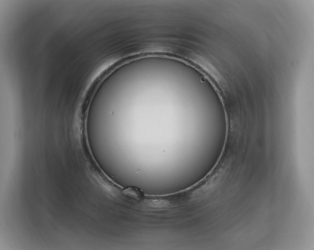 X0000111531119200907211239