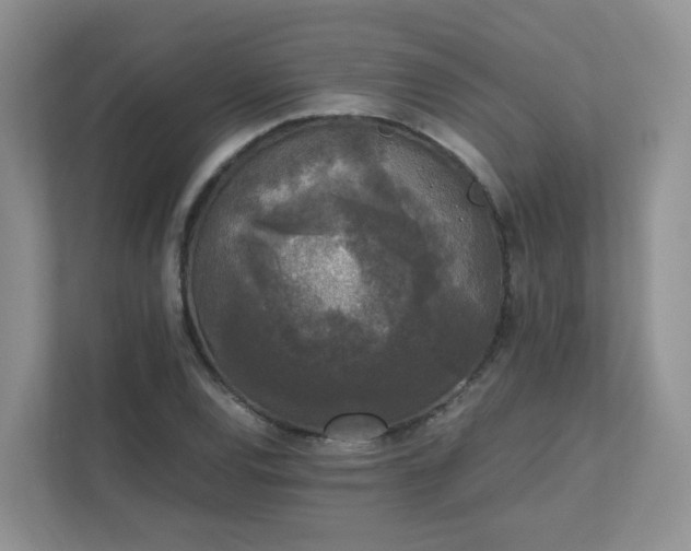 X0000111531120200907211239