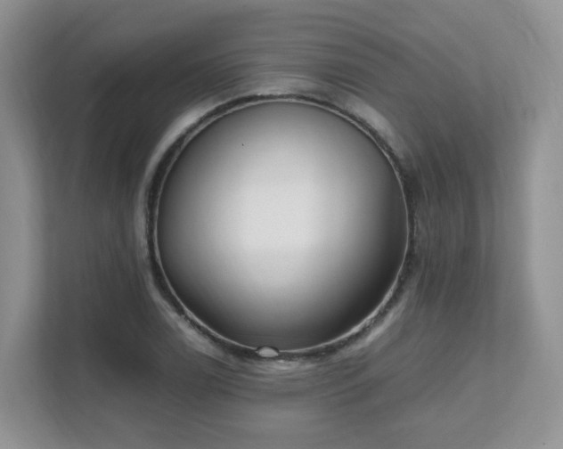 X0000111531122200907211239