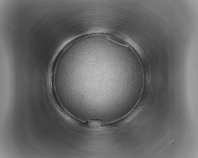 X0000111531124200907211239