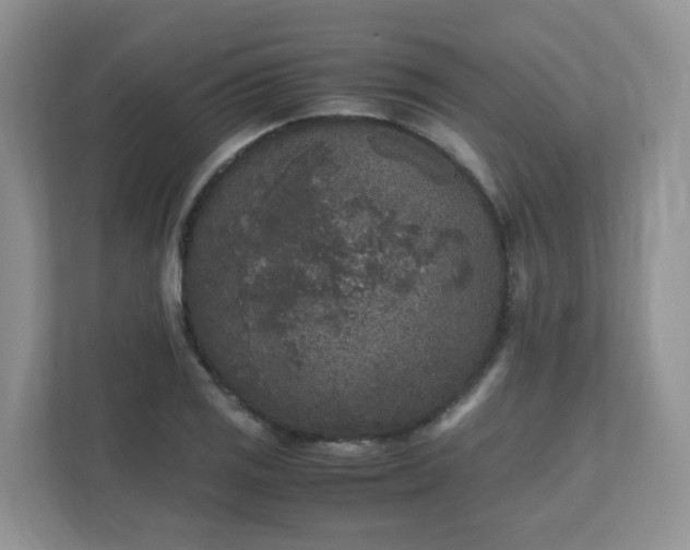 X0000111531125200907211239