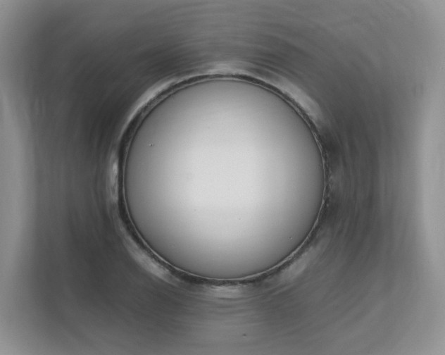 X0000111531126200907211239