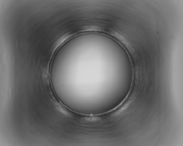 X0000111531129200907211239