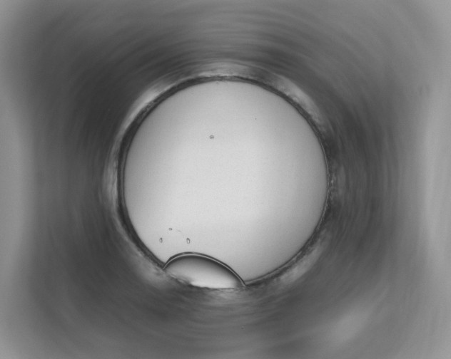 X0000111531130200907211239