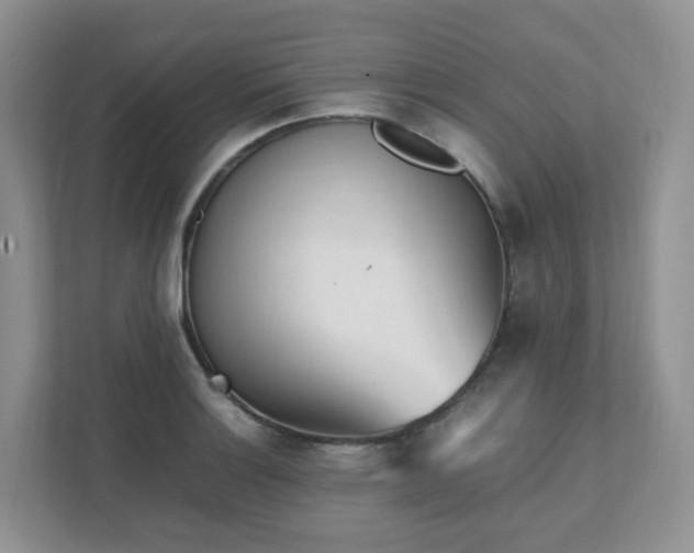 X0000111531132200907211239