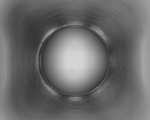 X0000111531135200907211239