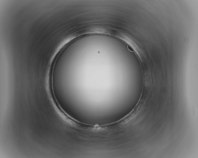 X0000111531139200907211239