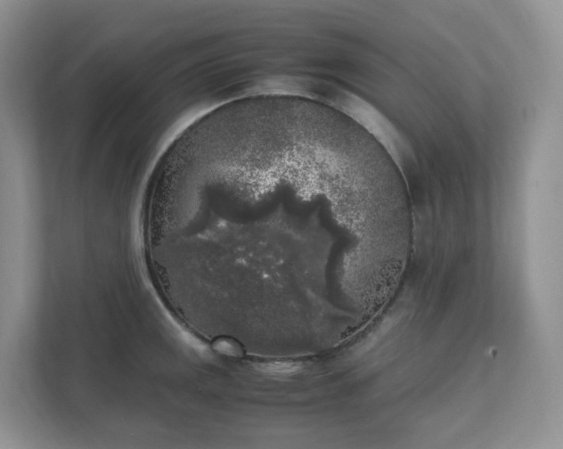 X0000111531141200907211239