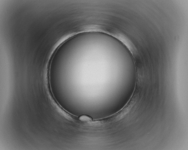 X0000111531142200907211239