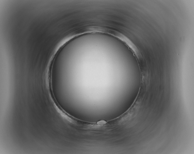 X0000111531143200907211239