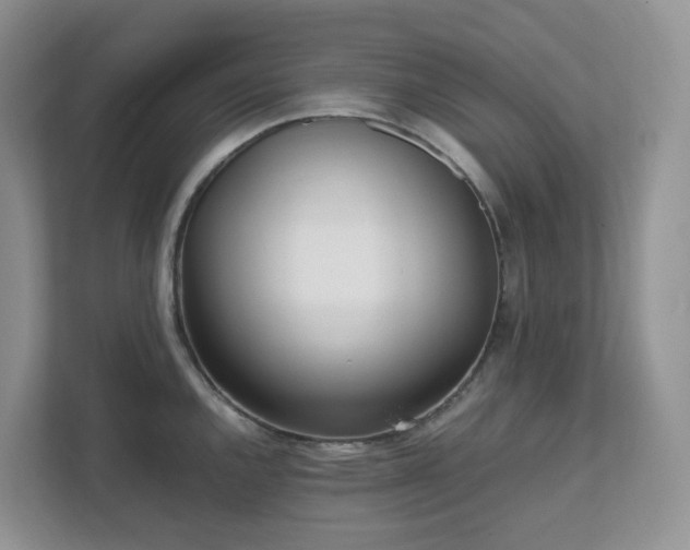 X0000111531144200907211239