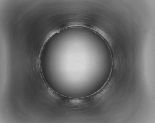 X0000111531145200907211239