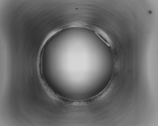 X0000111531146200907211239