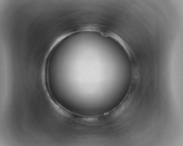 X0000111531147200907211239